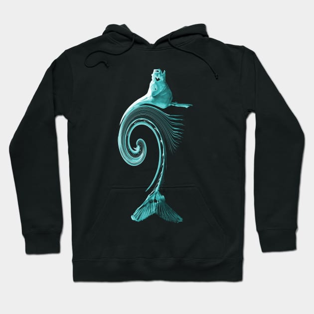 Curved Fish Turquoise Hoodie by RaphaelWolf